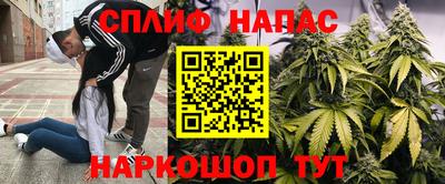 a pvp Канаш