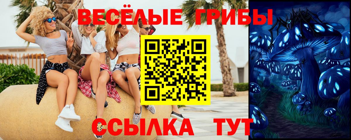 Псилоцибиновые грибы Psilocybine cubensis  Вход с VPN  Арсеньев 